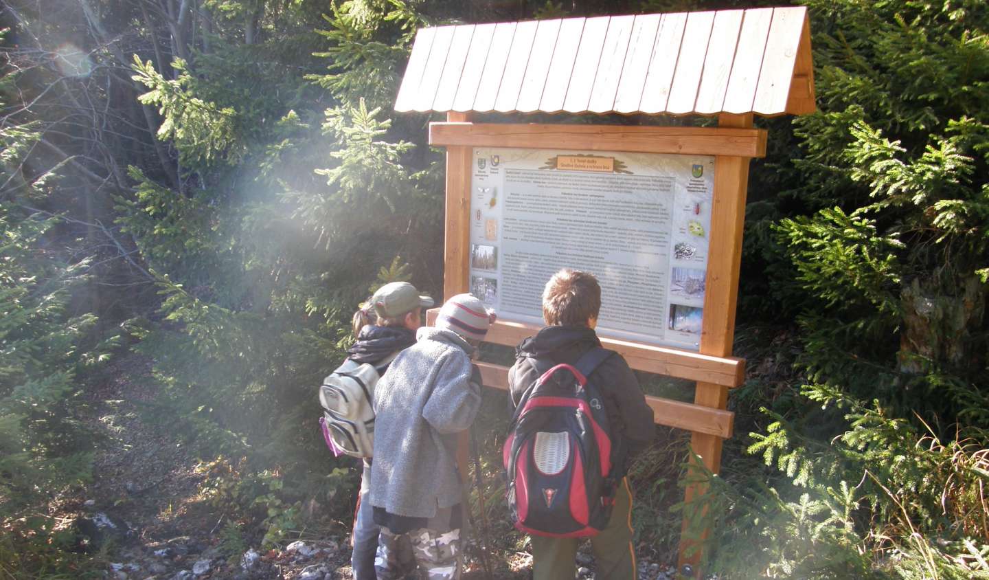 Potrebujeme envirovýchovu na školách? Oslovili sme žiakov aj pedagógov.