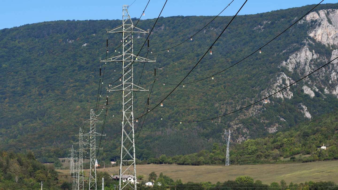 Power lines are safer for birds. Thanks to 4100 flight diverters