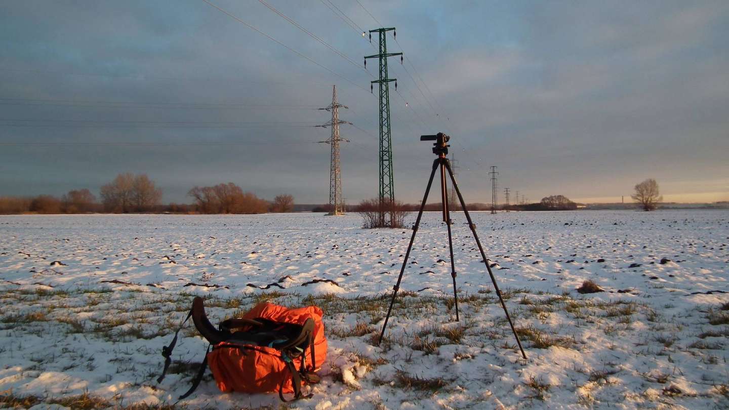 Priebežné výsledky - január 2019