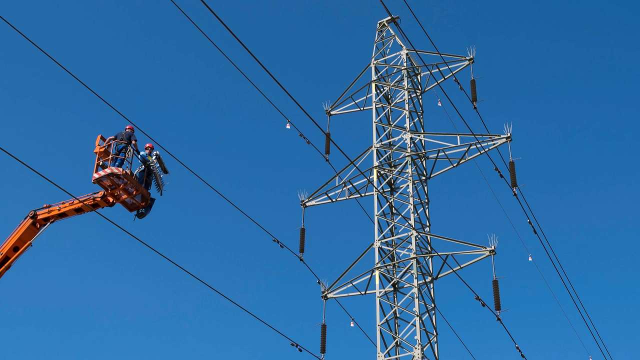 Deväť z desiatich opýtaných Slovákov si uvedomuje riziká nadzemných elektrických vedení pre vtáky