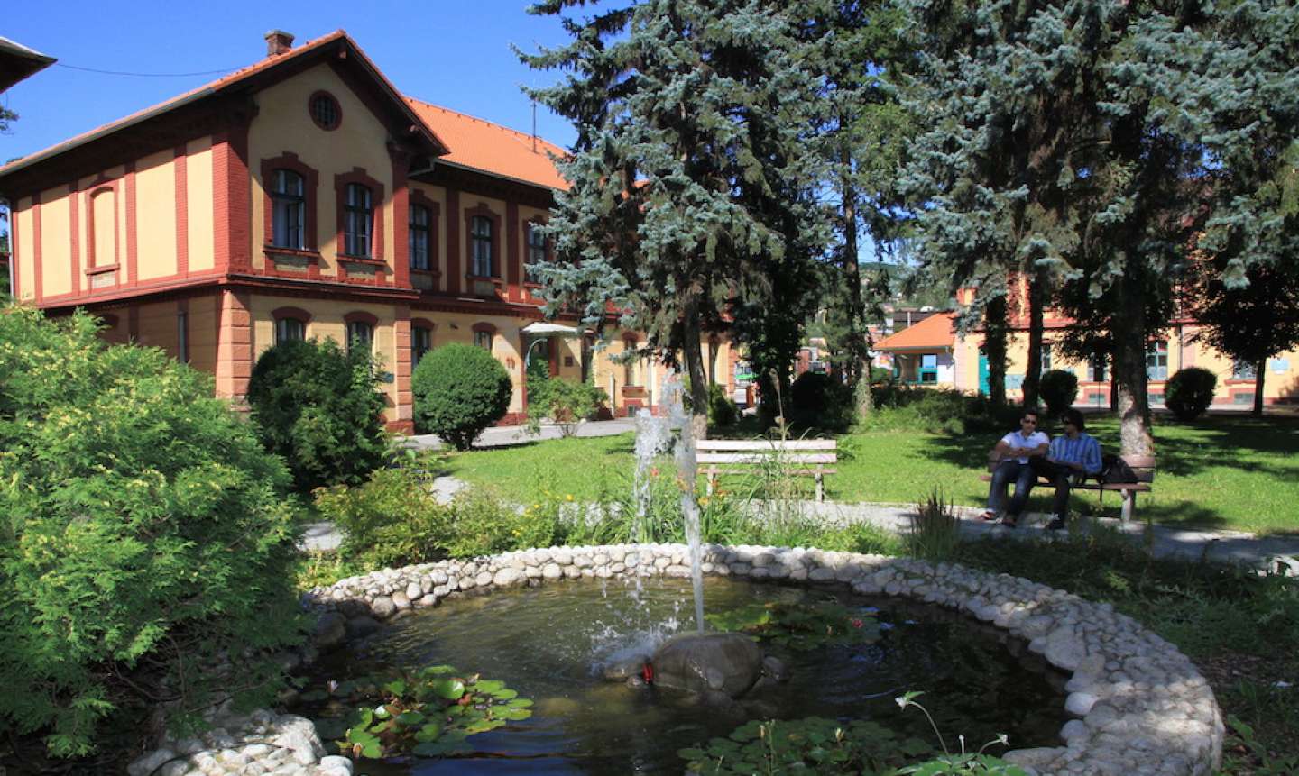 The University of Veterinary Medicine and Pharmacy in Košice