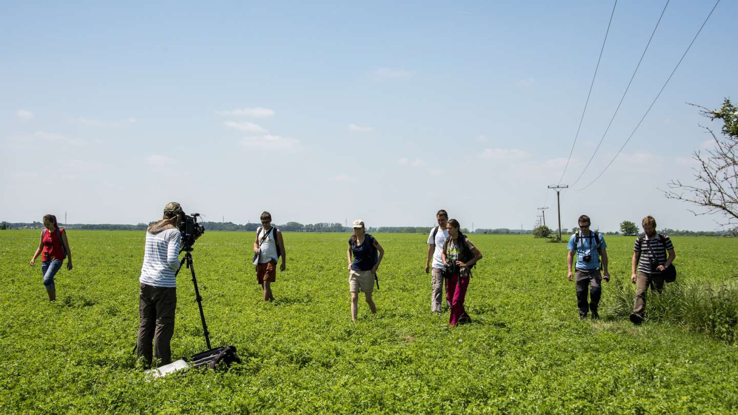 Monitoring of electric power lines