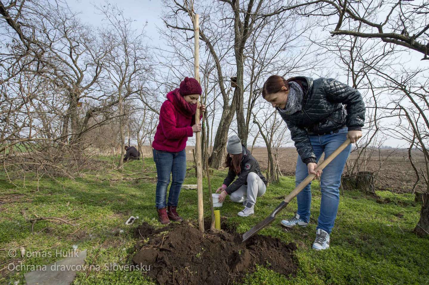 Students from University in Nitra will donate five days to the Earth