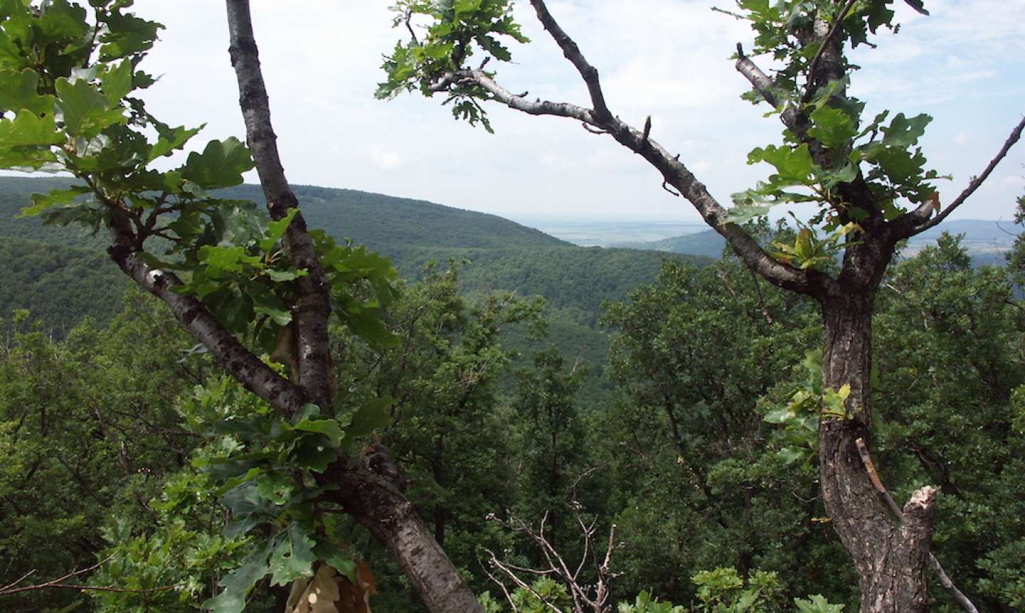 State Nature Conservancy of the Slovak Republic