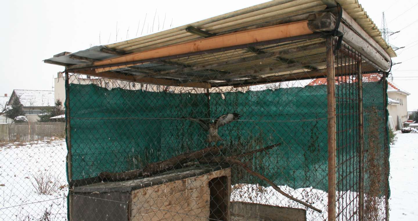 Jedinečný prieskum k ochrane vtáctva priniesol nové poznatky
