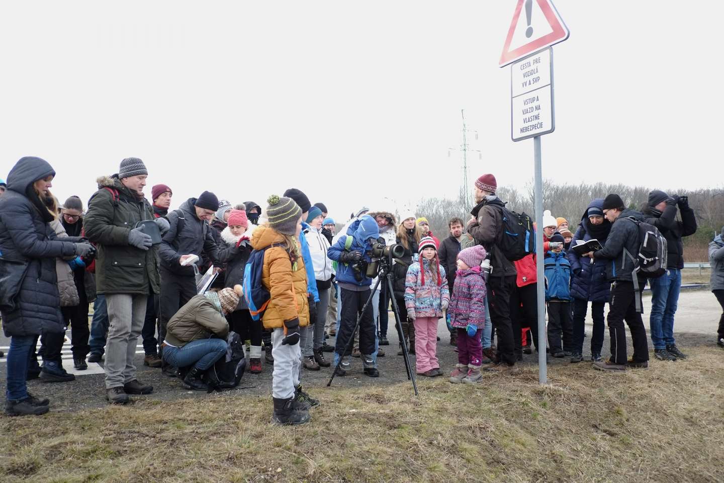 Two hundred Nature Enthusiasts interested in rare White-tailed Eagle