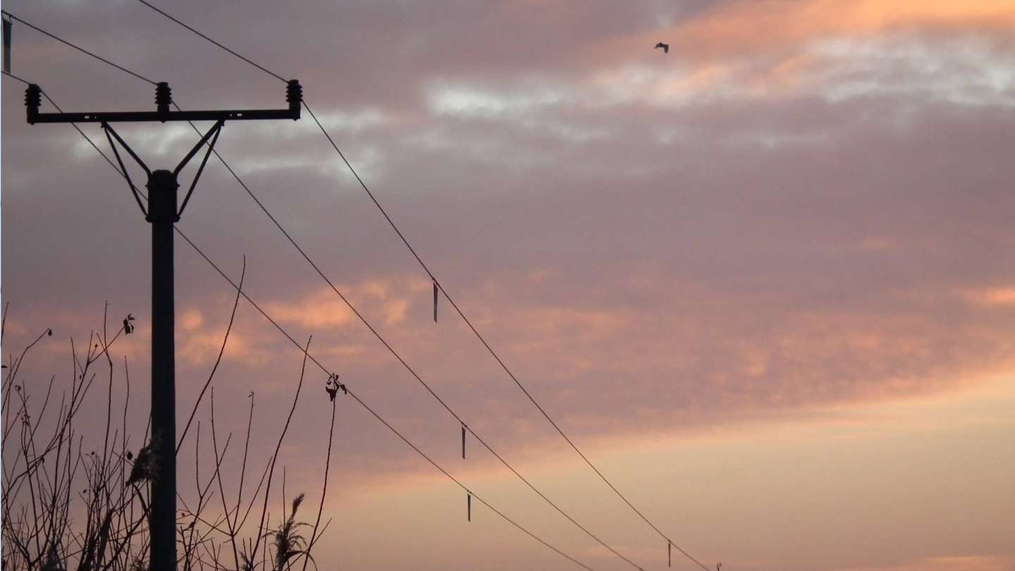 4 500 flight diverters in western Slovakia protect birds