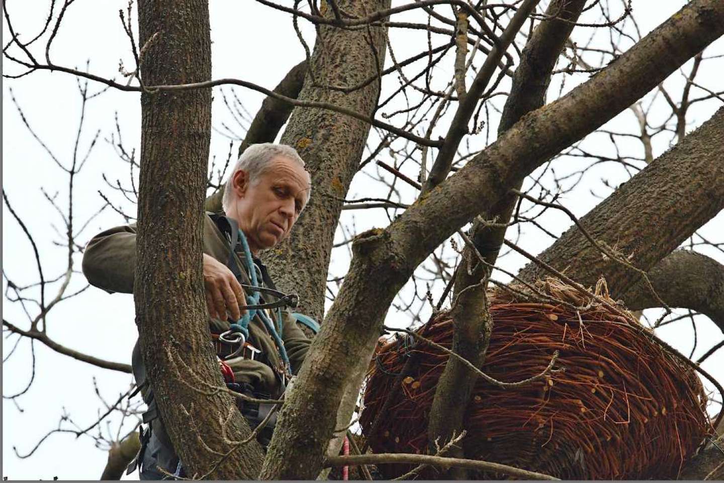 Zlepšujeme podmienky pre hniezdenie