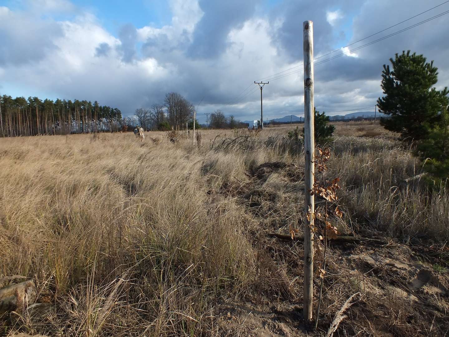 Priebežné výsledky - november 2016